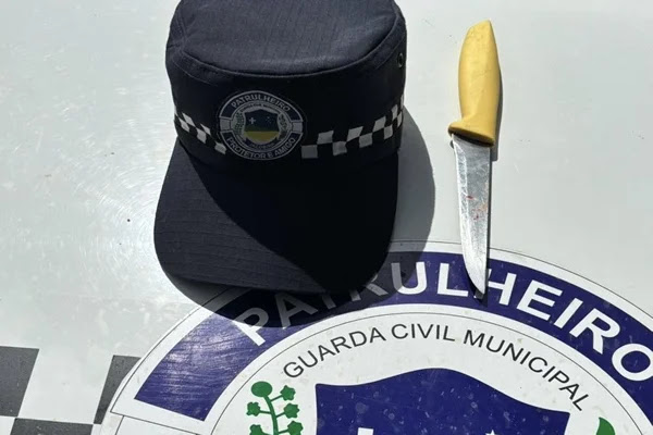 Mulher esfaqueia mãe, tia e primo após briga por casa em Jacobina