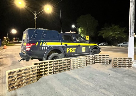 Mais de 580 aves silvestres são resgatadas em Ribeira do Pombal