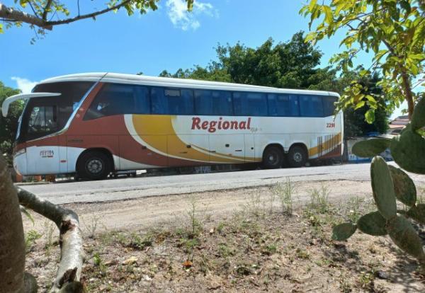 Empresas de ônibus que atendem 100 cidades baianas anunciam fim das atividades
