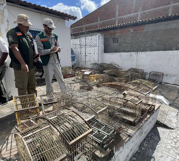 Operação resgata mais de 100 pássaros em Nova Fátima