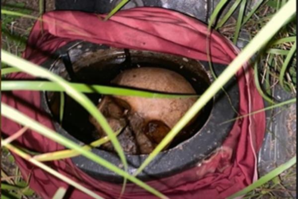 Crânio humano é encontrado dentro de panela de pressão em Ipirá
