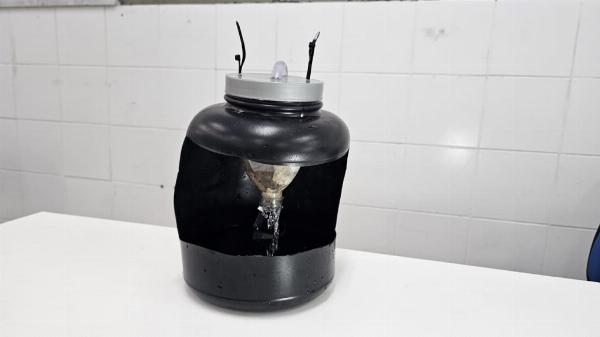 Estudantes de Serrinha criam bebedouro sustentável para gatos com materiais recicláveis