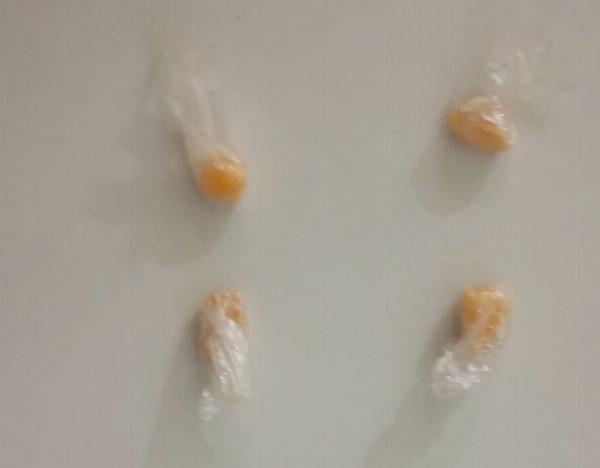 Polícia apreende pedras de crack no "Beco do Urubu" em Serrinha