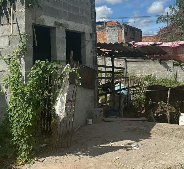 Jovem de Serrinha é morto a tiros em Feira de Santana