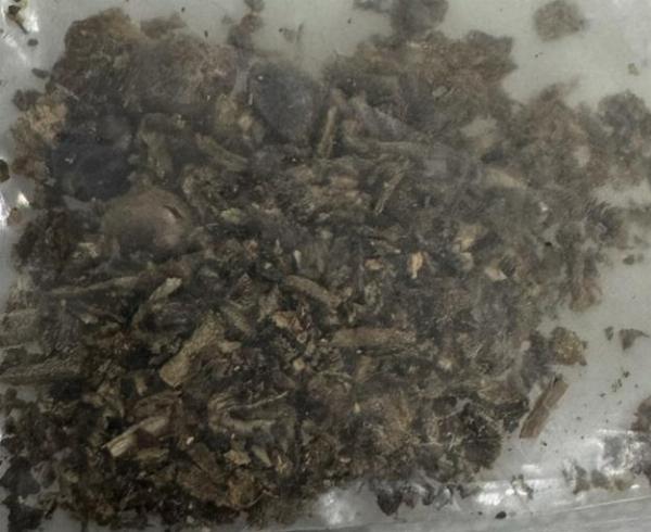 Moto com sinais de adulteração é apreendida e duas pessoas são detidas pela PM em Conceição do Coité