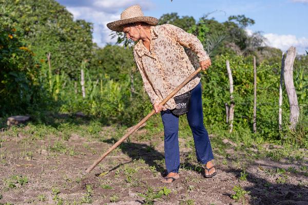 Mais de 1.950 famílias em Serrinha vão receber R$ 2,3 milhões do Garantia Safra