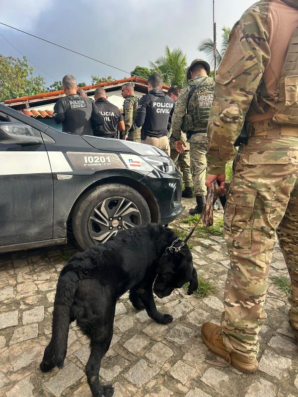 Polícia cumpre 15 mandados contra grupo suspeito de tráfico e homicídios em Irará