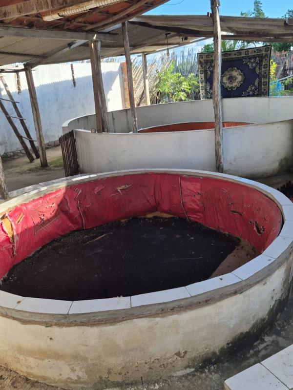 Polícia resgata 72 aves e investiga rinha de galos em Conceição do Coité