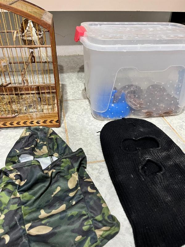 Polícia Civil prende quatro suspeitos de integrar organização criminosa em Santo Estêvão