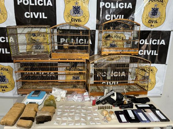 Polícia Civil prende quatro suspeitos de integrar organização criminosa em Santo Estêvão