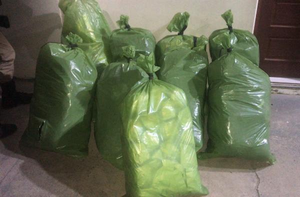 CETO apreende 90 kg de maconha escondidos em carro após perseguição na BR-116, em Serrinha