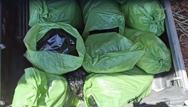 Polícia Civil incinera 100 kg de drogas em Serrinha