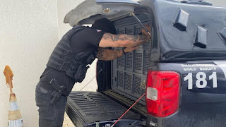 Homem é preso suspeito de tentar matar companheira com golpes de facão em Serrinha