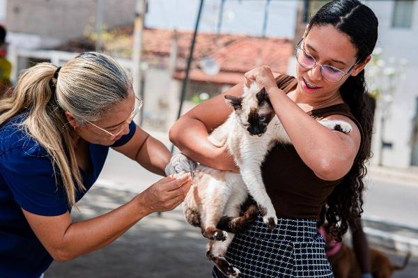 Serrinha realiza vacinação antirrábica para cães e gatos na zona rural