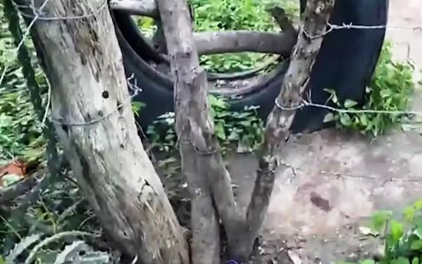 Homem morre preso em porteira de fazenda em Itiúba