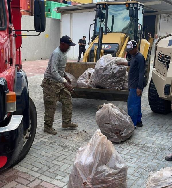 PF incinera jurema negra apreendido em Conceição do Coité 