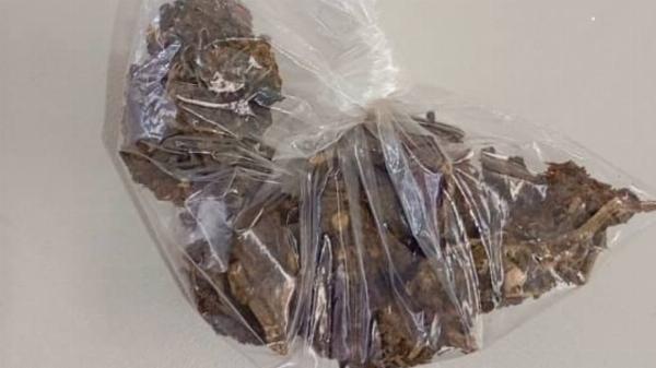 Mulher é flagrada com maconha no "Beco do Urubu" em Serrinha