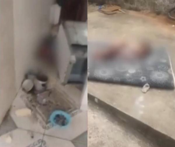 Duas crianças são encontradas machucadas e sozinhas em Serrinha; mãe diz que havia saído para trabalhar