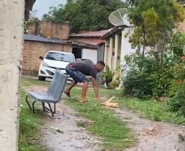 Homem é filmado matando gato a paulada na zona rural de Serrinha; prefeitura acionou MP