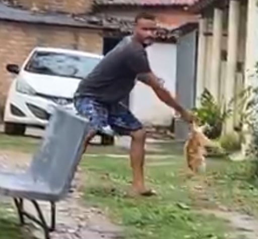 Homem é filmado matando gato a paulada na zona rural de Serrinha; prefeitura acionou MP
