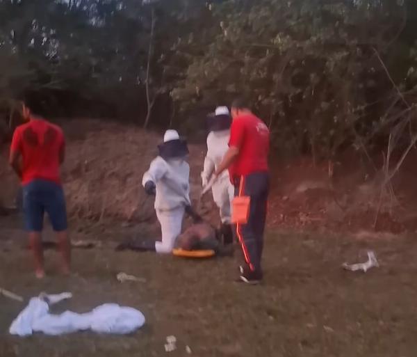 Homem morre após ser atacado por enxame de abelhas enquanto pescava no Rio Verde, em Riachão do Jacuípe