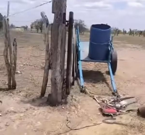 Três pessoas e um animal ficam feridos após ataque de abelhas em Riachão do Jacuípe