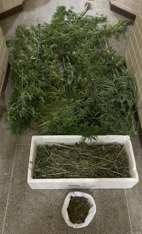 Dupla é flagrada com drogas em Conceição do Coité e entrega traficante