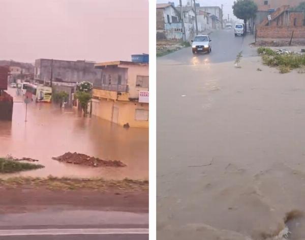 Água na altura dos joelhos: moradores enfrentam alagamentos em Araci