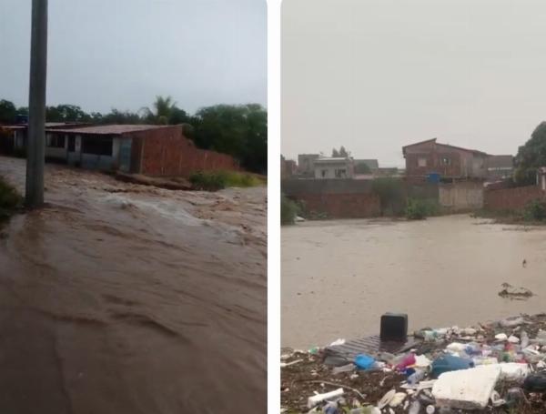 Água na altura dos joelhos: moradores enfrentam alagamentos em Araci