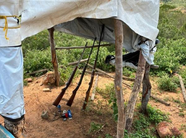 Mais de 100 aves silvestres são resgatadas de cativeiros em Jeremoabo e Cícero Dantas