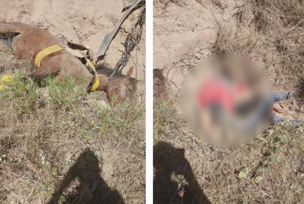 Mulher morre e homem fica em estado grave após atropelo em Araci