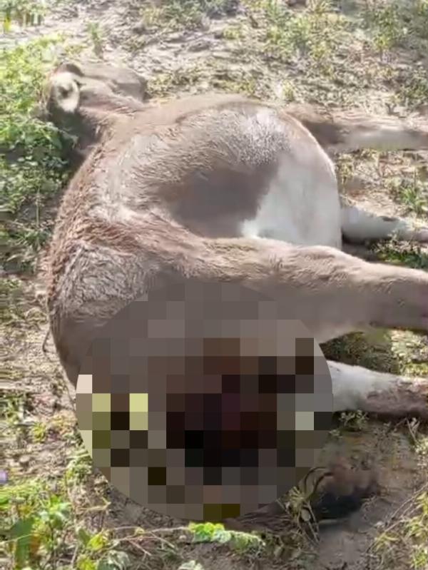 Homem é preso por furto, dano e ameaça contra ex-companheira em Santa Bárbara