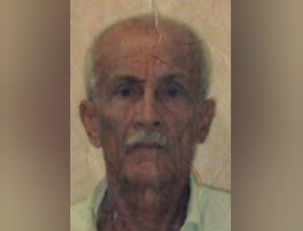Idoso de 86 anos morre após ser atacado por abelhas em Terra Nova