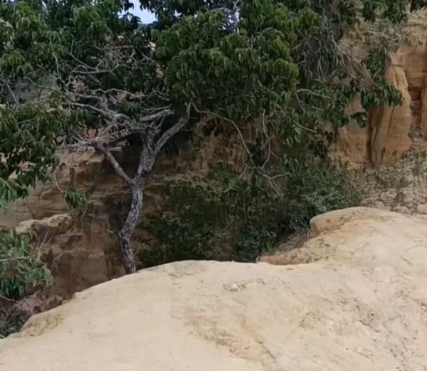 Irmãos são presos por suspeita de matar e ocultar corpo de homem em Tucano