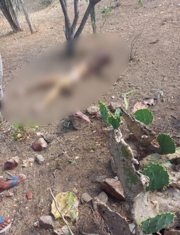 Jovem de 21 anos é morta a pedradas e tem corpo parcialmente carbonizado em Santaluz