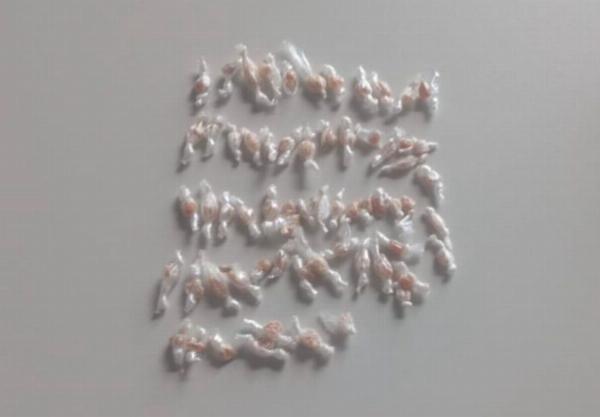 PM apreende 64 pedras de crack e prende suspeito em Cansanção