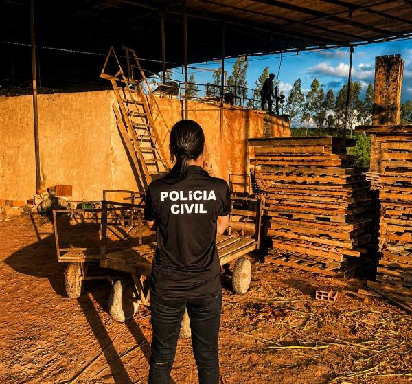 Polícia Civil realiza incineração de drogas em Ribeira do Pombal
