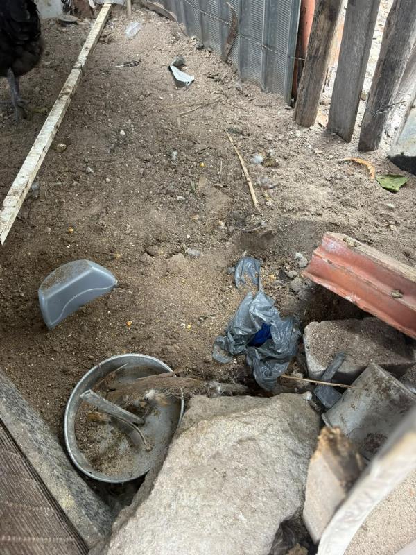 Polícia apreende drogas e arma durante operação para localizar suspeito de tentativa de homicídio em Cansanção