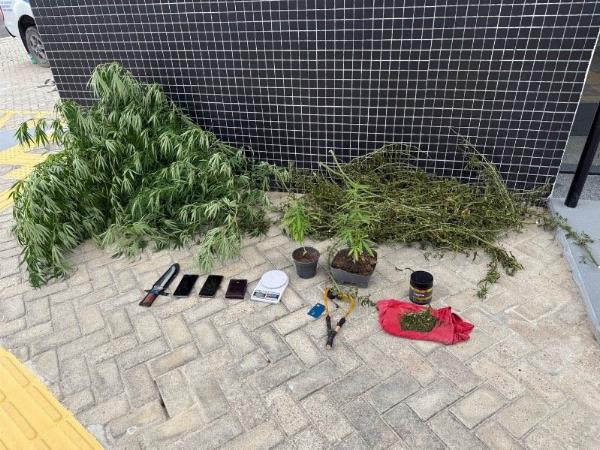 Teofilândia: homem é preso com pés de maconha e punhal após denúncia de ameaças