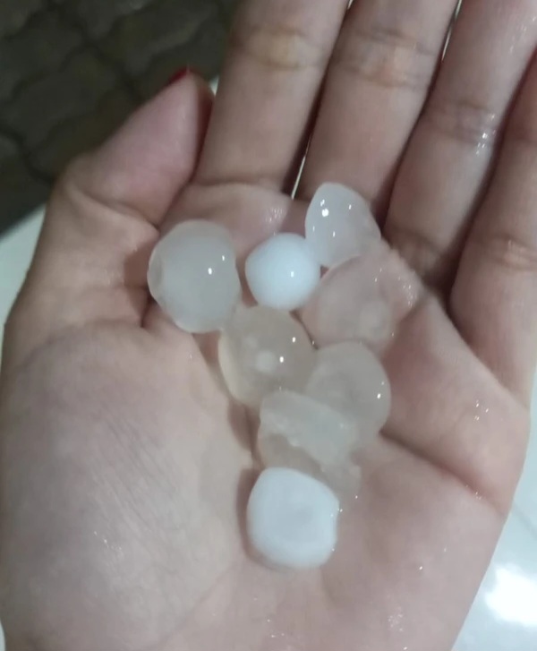 Chuva de granizo atinge cidades da região do Sisal e assusta moradores Moradores de ao menos cinco cidades da região do Sisal foram surpreendidos por chuva de granizo registrada entre sábado (3) e domingo (4). Vídeos e fotos compartilhados nas redes sociais mostram a surpresa da população diante do fenômeno. Os registros foram feitos em localidades de Serrinha, Conceição do Coité, Santaluz, Queimadas e Lamarão. Nesta última cidade, inclusive, as pedras de gelo danificaram telhados e alguns imóveis foram tomados pela água da chuva. Em imagens divulgadas pelos moradores, é possivel ver pequenas pedras de gelo sendo recolhidas dentro de casas e em vias públicas. O fenômeno foi registrado após uma forte onda de calor. Em Queimadas, a chuva de granizo ocorreu no povoado do Rio do Peixe, onde faltou energia elétrica no sábado (3), devido aos fortes ventos. Já em Santaluz, motoristas precisaram parar os veículos às margens da BA-120 por conta da baixa visibilidade. Em Serrinha, além da queda de granizo em localidades como Alto de Fora, Entrocamento de Ichu e Alto da Bandeira, as fortes rajadas de vento destelharam casas, derrubaram árvores e danificaram estruturas. Apesar dos prejuízos materiais, não houve registro de feridos. O granizo é caracterizado por pedras de gelo que se formam em nuvens de grande extensão vertical, chamadas de cumulonimbus. Elas são comuns após dias muito quentes e possuem temperatura abaixo de zero grau, o que contribui para a formação de gelo.