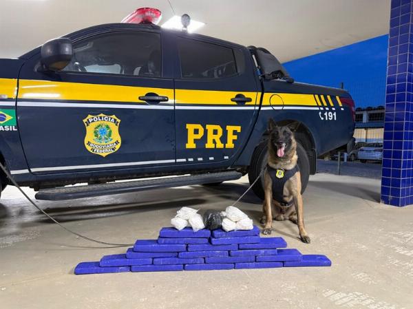PRF intercepta quase 15 kg de drogas que seguiriam para Euclides da Cunha