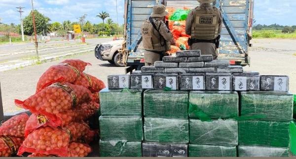 Homem é preso com 500kg de cocaína escondida em carga de cebolas em São Gonçalo dos Campos