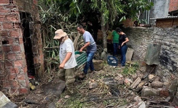Cerca de 100 jabutis são resgatados em casa abandonada em Conceição do Jacuípe
